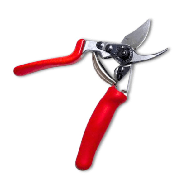 Bypass-Rebschere mit Rollgriff FELCO 17 für Linkshänder (20 cm) - Image 2