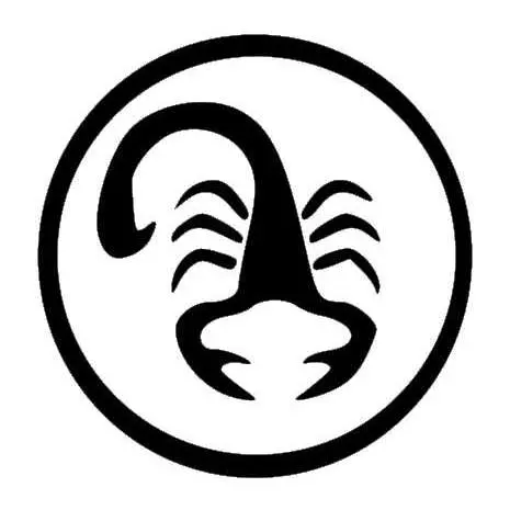 grav_sternzeichen_11_skorpion